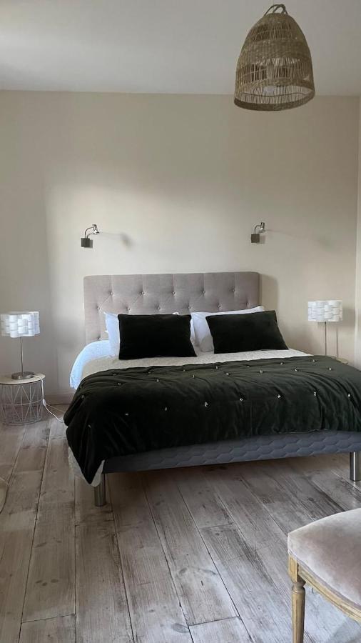 Maison Au Pied De La Cite 카르카손 외부 사진